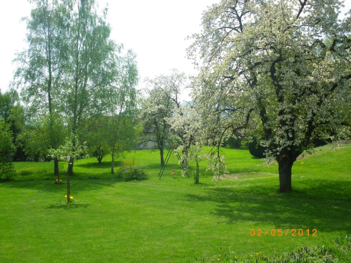 Entre Thur Et Montagne Willer-sur-Thur Exterior foto