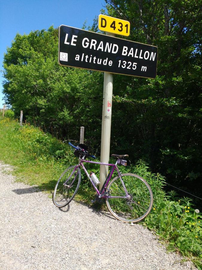 Entre Thur Et Montagne Willer-sur-Thur Exterior foto